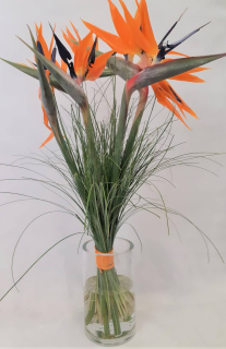 Strelitzia v kytici