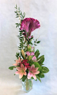 Celosia v kytici